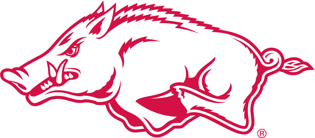 Arkansas Razorbacks 2001-Pres Alternate Logo v2 diy iron on heat transfer